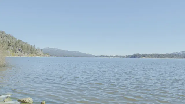 Big Bear Lake in November: Wide-Angle View with American Coots & Boat