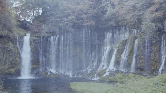 Shiraito Falls, Fujinomiya: Autumn Cascades in Shizuoka, Japan