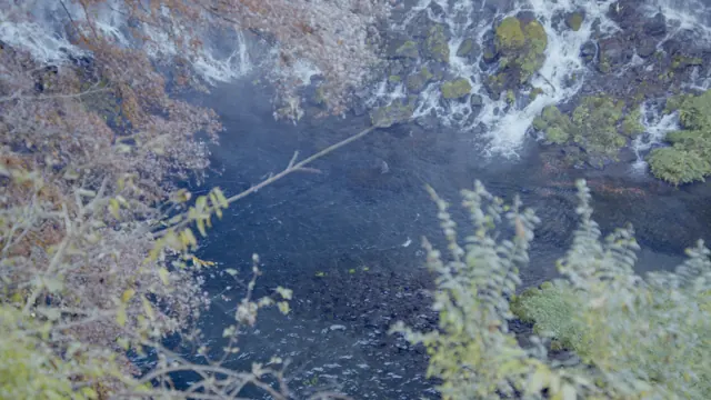 Shiraito Falls, Fujinomiya, Japan in Late Autumn