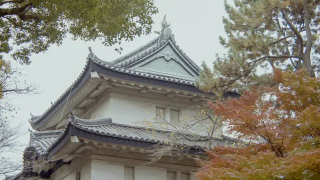 Fujimi Yagura Watchtower in Autumn, Tokyo Imperial Palace East Garden