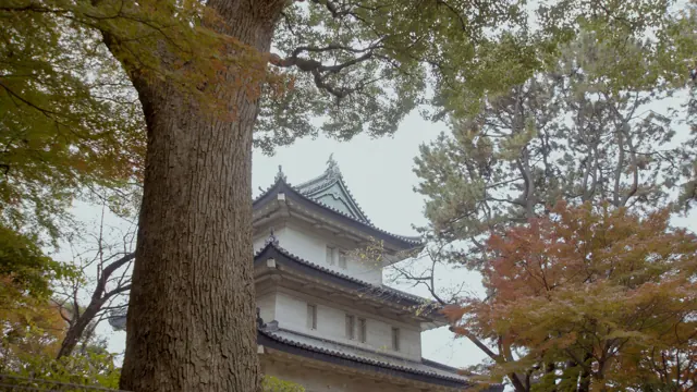 Fujimi Yagura, Tokyo Imperial Palace East Garden | Chiyoda City