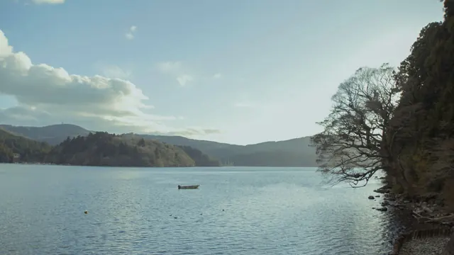 Lake Ashi Tranquility: Winter Landscape with Boat and Bare Trees, Japan