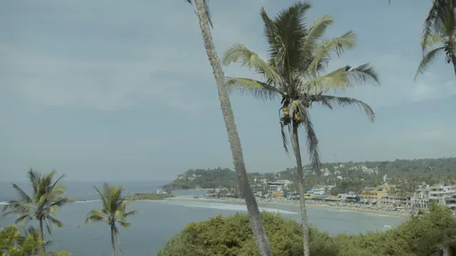 Scenic Hawa Beach in Kerala, India: Palm Trees & Ocean Vista