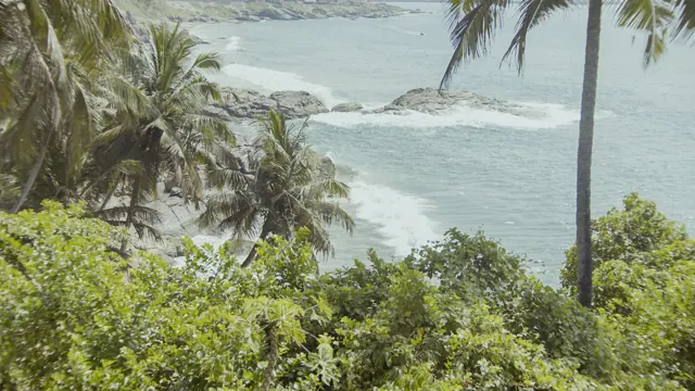 Vizhinjam Coast: Kerala India Tropical Ocean View with Palm Trees