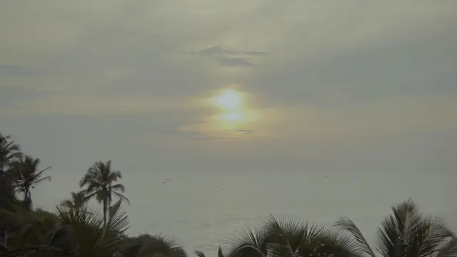 Hawa Beach Sunset: Tropical Palms Overlooking Arabian Sea, Kerala