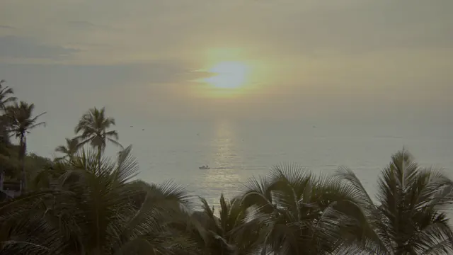 Hawa Beach Sunset with Palm Trees, Kerala, India